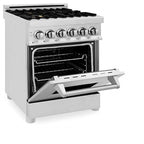 ZLINE 24 In. 2.8 Cu. Ft. Professional Dual Fuel Range In Stainless Steel With Brass Burners (RA-BR-24)