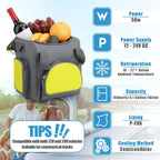 Paffenery 15 Quarts Car Cooler Plug in, 16L Small Electric Cooler, 12V Mini Car Fridge Portable Refrigerator for Camping