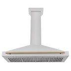 ZLINE KITCHEN AND BATH KB4SNZ48G ducted hood