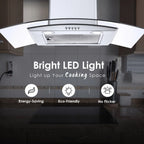 30 inch Kitchen Stainless Wall Mount Range Hood 450CFM Stainless 3-Speed with Led Bulb Dishwasher Filter For Burner 120V