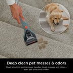 Shark CarpetXpert Upright Deep Carpet, Area Rug & Upholstery Cleaner with Built-in Spot & Stain Eliminator and 12 oz Deep Clean Pro Cleanser, EX150