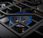 48" All Gas Pro-Range