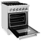 ZLINE 24 In. 2.8 Cu. Ft. Professional Dual Fuel Range In Stainless Steel With Brass Burners (RA-BR-24)