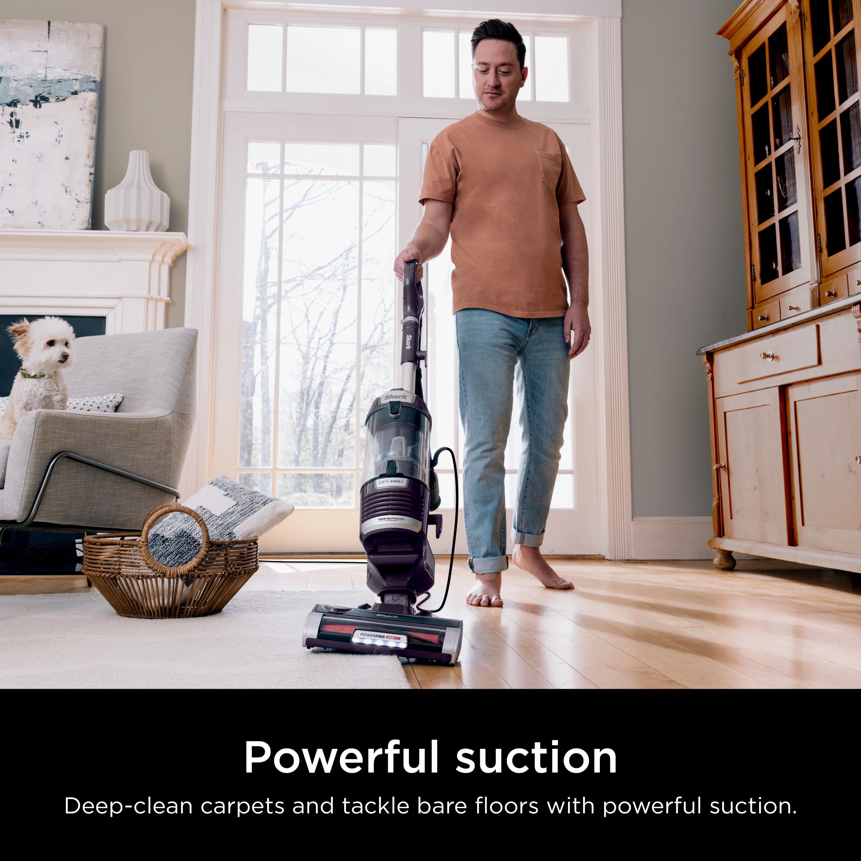 Shark Upright Vacuum, Lift-Away, Pet Friendly, Bagless, PowerFins HairPro & Odor Neutralizer Technology, Hard Floor and Carpet, Self Cleaning Brushroll, Anti Allergen &Swivel Steering , ZD550, Purple
