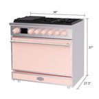 Akicon 48 Inch Freestanding Gas Range with 8 Sealed Burners Cooktop, 6.7 Cu.Ft. Dual Zone Capacity, Natural Gas/LP Convertible-BSGBGGA1