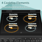 Lanbo 24 in 2.9 CU ft Freestanding Electric Range with Rotisserie and True Convection Oven and Timer