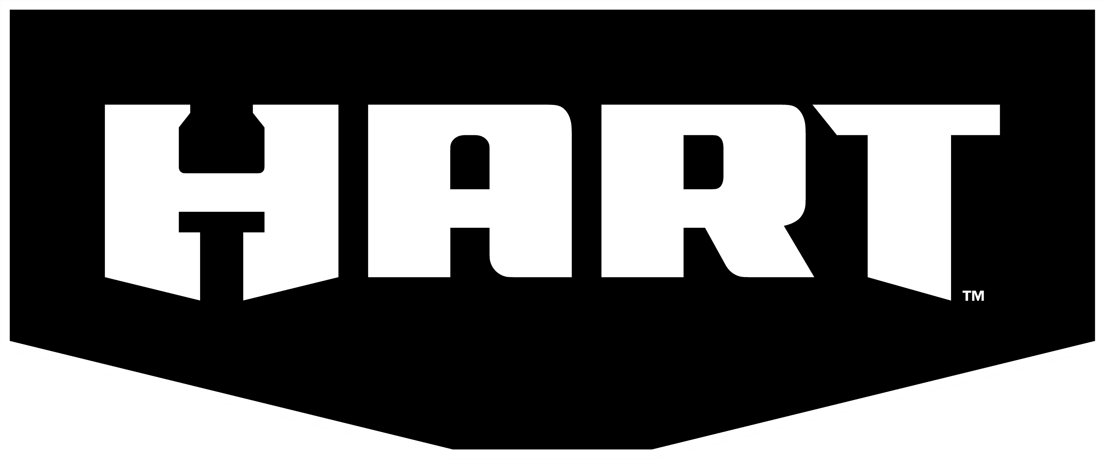 HART 20V Cordless Vacuum Cleaner - Cyclonic Technology