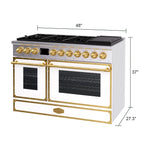 Akicon 48 Inch Freestanding Gas Range with 8 Sealed Burners Cooktop, 6.7 Cu.Ft. Dual Zone Capacity, Natural Gas/LP Convertible-BSGBGGA1