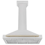 ZLINE 36 ZLINE Autograph Edition DuraSnow Stainless Steel Range Hood with DuraSnow and Gold Handle (KB4SNZ-36-G)