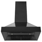 ZLINE 30 in. Wall Range Hood in Black Stainless Steel (BS655N-30)