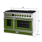 Akicon 48 Inch Freestanding Gas Range with 8 Sealed Burners Cooktop, 6.7 Cu.Ft. Dual Zone Capacity, Natural Gas/LP Convertible-BSGBGGA1
