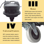 INTBUYING Carpet Cleaning Machine Carpet Extractor 30L/40L/60L/80L 110V/220V