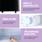 DEMULLER Mini Fridge with Freezer Compact Retro Refrigerator Dual Door Black-YX-100 19 inches Wide