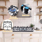 Tohu Stainless Steel Stove 3.3kW 5-Burner Closed Chassis Propane Cooktop for Outdoor/Indoor Cooking