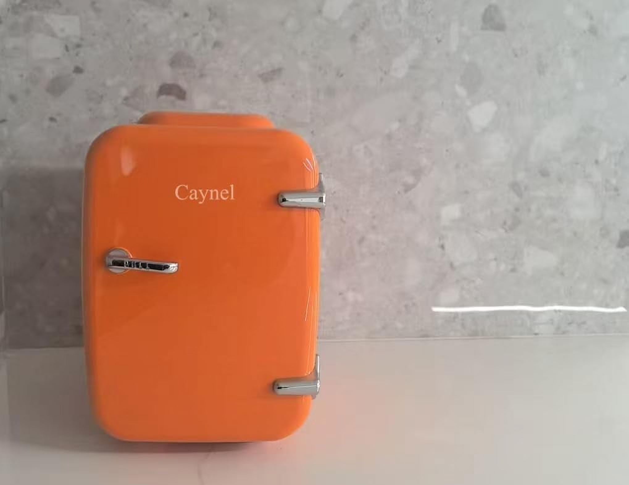 Fridge Portable Thermoelectric 4 Liter Cooler and Warmer for Skincare,  Friendly Beauty Fridge For Foods,Medications, Cosmetics, Breast Milk, Medications Home and Travel