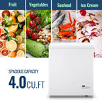 DEMULLER Deep Chest Freezer Freezers with Two Storage Baskets Ultra-Low Temperature Black 79-B-1
