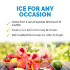 Newair | Portable Ice Maker | 28 lbs. Daily | 3 Bullet Ice Sizes, LED Display