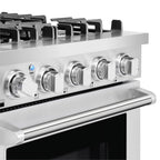 24 in. Freestanding Gas Range with 3.73 cu. ft. Capacity Oven in Stainless Steel