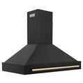 ZLINE KITCHEN AND BATH BS655Z48G ducted hood