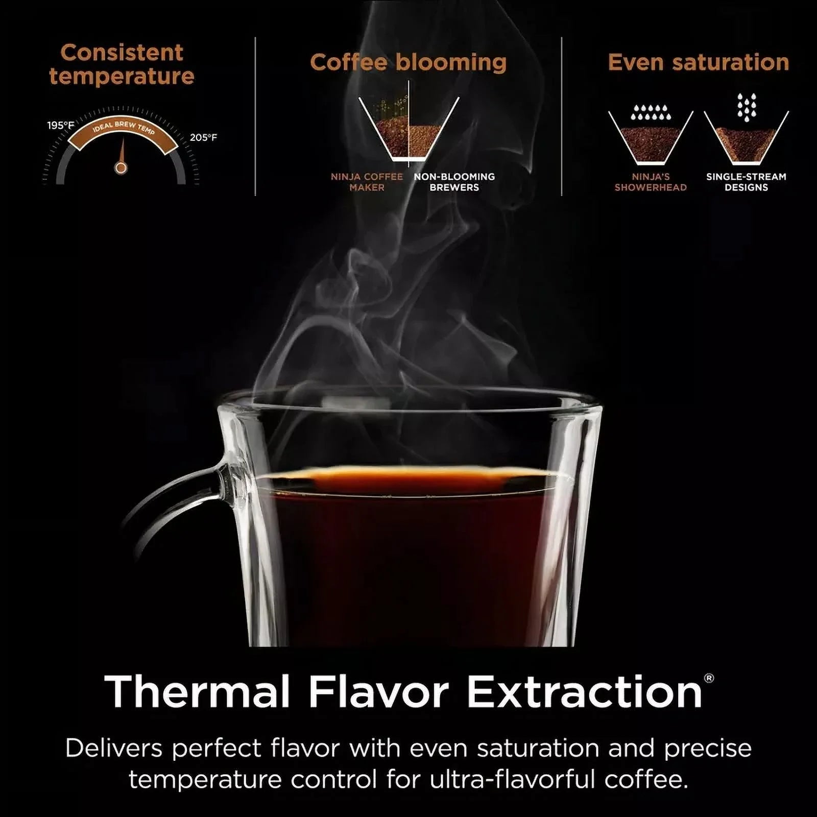 Ninja Hot & Iced XL Coffee Maker with Rapid Cold Brew