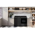 LG 27 Inch Rear Control Gas Dryer with 7.3 cu ft. Ultra Capacity, AI Sensor Dry, Quiet Operation in Black DLG8201L