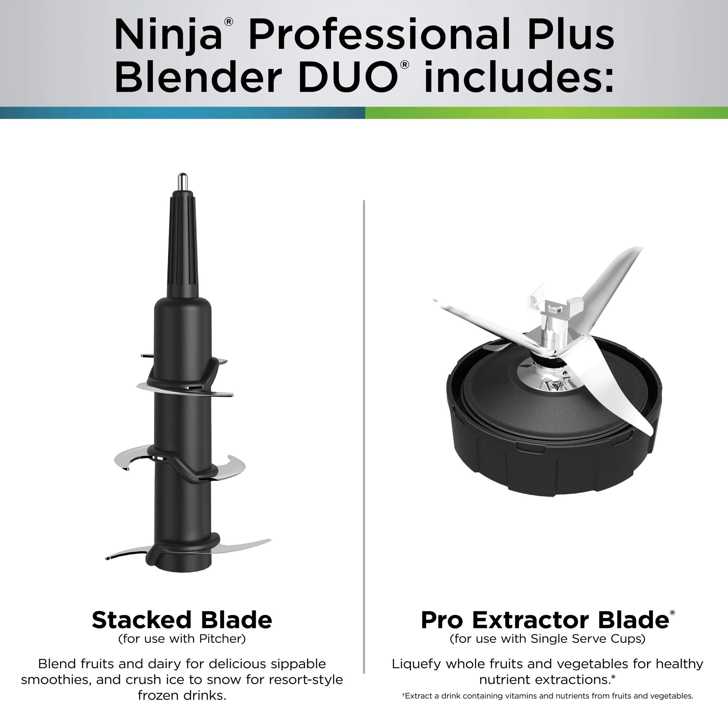 Ninja 1500 W 72 oz Blender, Black