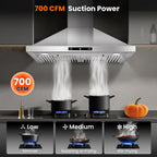 30 inch New Stainless Wall Mount Range Hood Kitchen Stove Exhaust Vent 3-Speed Fan 120V with Led Bulb