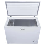 Professional Series 10 Cu Ft Chest Freezer, Manual Defrost, White