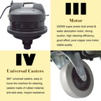 INTBUYING Carpet Cleaning Machine Carpet Extractor 30L/40L/60L/80L 110V/220V
