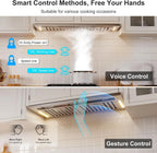 Range Hood Insert 30 Inch, 900 CFM Smart Voice/Gesture/Touch Control, 4 Speed Exhaust Fan, Stainless Steel Kitchen Hood with Charcoal Filter, Ducted/Ductless Convertible