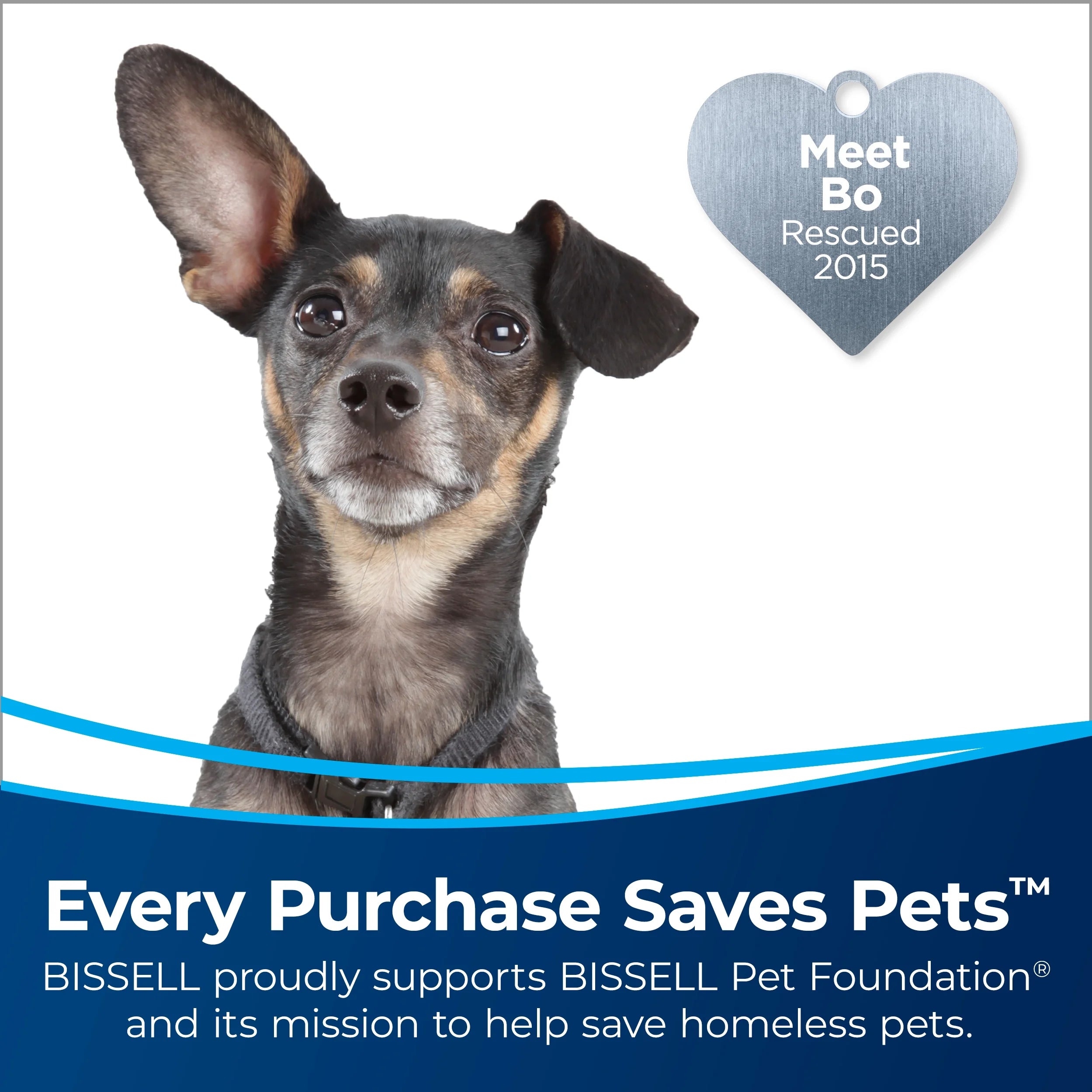 BISSELL CleanView Swivel Rewind Pet Reach 3197
