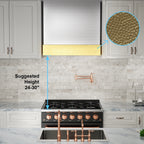 Akicon Range Hood 30 Inch, 600 CFM Ducted Vent Hood, Stainless Steel Box Kitchen Hood with 2 LED Lights, Removable Baffle Filters, Stove Hood Vent for Kitchen, 3 Speeds, Wall Mounted (AK-HS30HB-JBC)