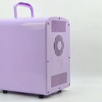 Mini Fridge,Skincare Fridge,Portable 4-Liter Capacity Makeup Fridge,Ideal for Bedroom, Dorm, Car and Office Use,Thermoelectric Cooler and Warmer,Car Fridge (Black)