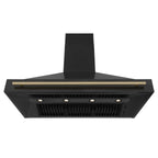 ZLINE KITCHEN AND BATH BS655Z48G ducted hood