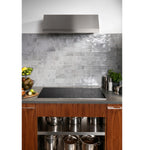 GE APPLIANCES PEP9036STSS cooktops (electric)