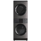 Electrolux 4.5 cu ft Titanium Electric Dryer
