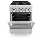 ZLINE 24" Professional Dual Fuel Range with Color Door Options (RA24)