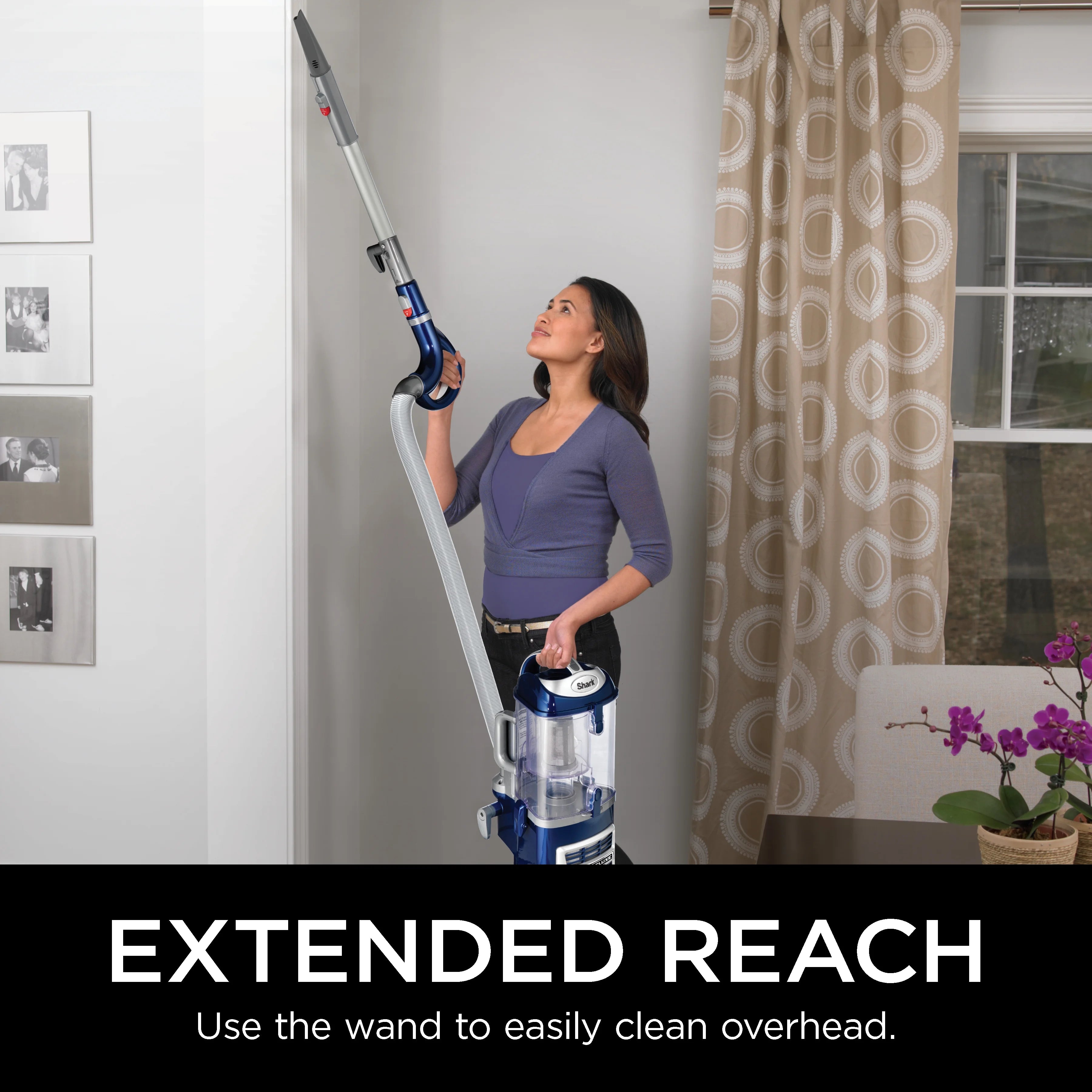 Shark? Navigator? Lift-Away? Deluxe Upright Vacuum