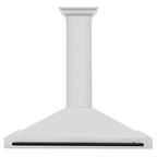 ZLINE 48 in. Autograph Edition Stainless Steel Range Hood with Stainless Steel Shell and Accents (KB4STZ-48)