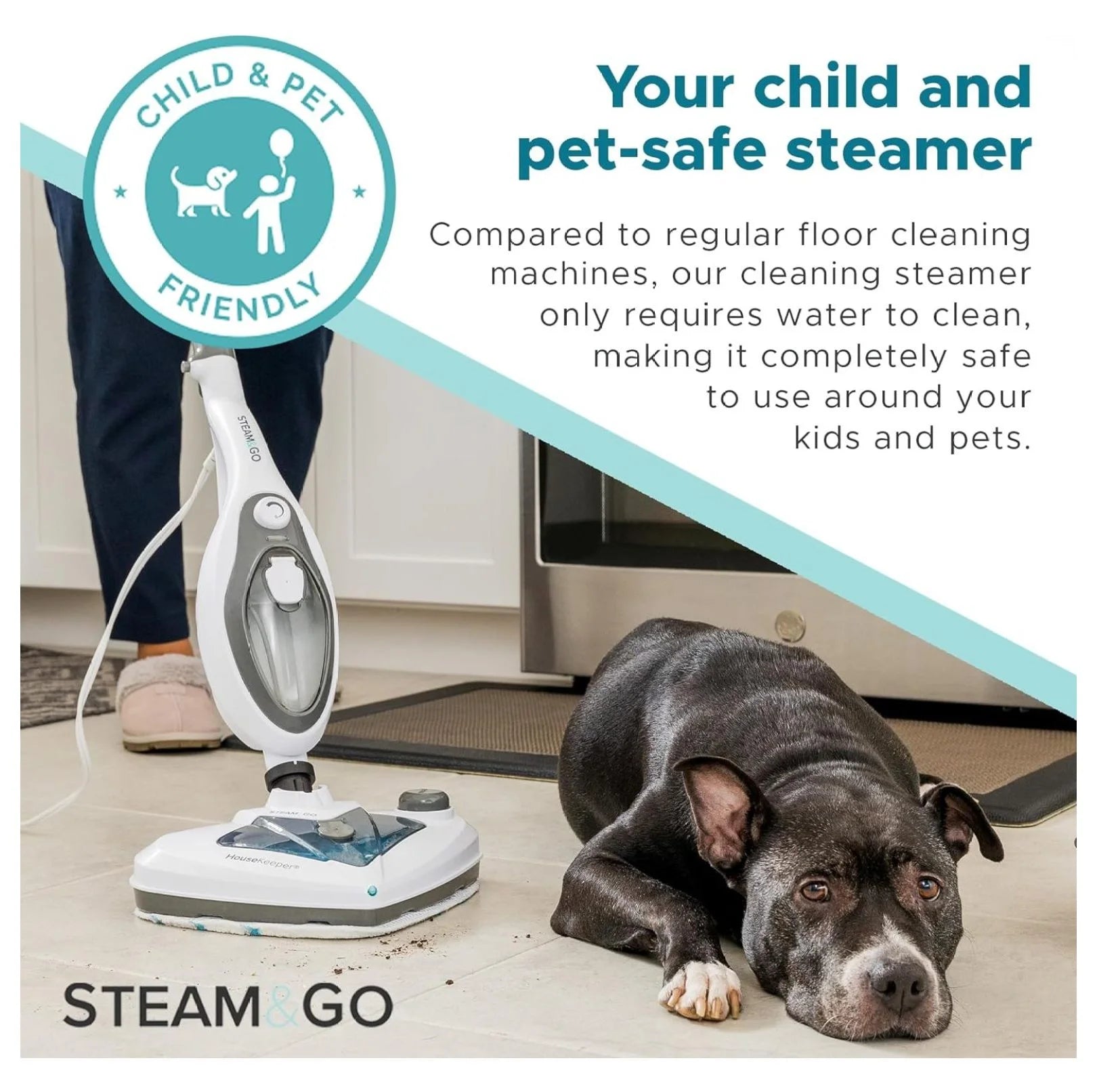 WDNMD9418 10-in-1 Steam Mop - Floor Steamer with Chamber and Detachable Handle for Tile Grout, Clothes, Furniture, Hardwood, Upholstery, & Carpet, Handheld Steam Cleaner for Home Use