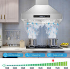 JOEAONZ Wall Mounted Range Hood 30" Kitchen Vent 900 CFM Duct Convertible Touch Control 9 Speed 120V