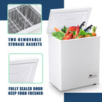 DEMULLER Deep Chest Freezer Freezers with Two Storage Baskets Ultra-Low Temperature Black 79-B-1