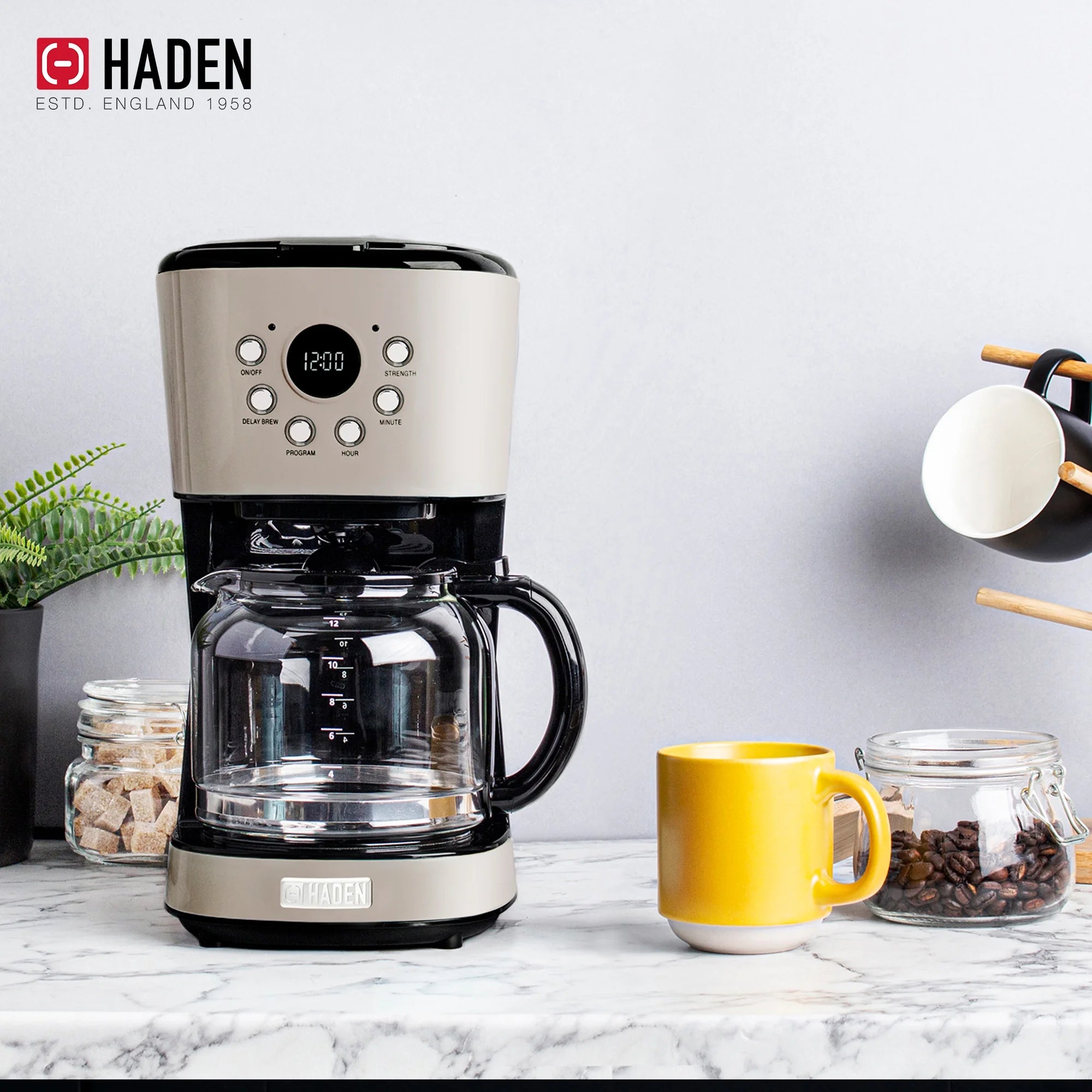 Haden 12 Cup Coffee Maker with 2 Slice Stainless Steel Bread Toaster, White
