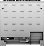 36 In. 6.0 Cu. Ft. Gas Freestanding Range with 6 Sealed Burners Gas Cooktop, Cast Iron Grates and Primary Convection Oven In Stainless Steel