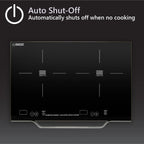 Equator 21" Portable 2-Burner Induction Cooktop LIGHT with ALUMINUM HANDLE 110V