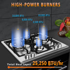 Gas Cooktop 23 inch, Adorer Bulit-in Gas Stove Top with 4 Burner, 23 Inch NG/LPG Convertible Cooktops, Four Burner Propane Cooktop with Thermocouple Protection, Stainless Steel