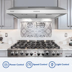 Tylza 30" 600 CFM Stainless Steel Kitchen Under Cabinet Range Hood with 2 x 2W LED Lights and 2 Replacement Charcoal Filter