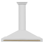 ZLINE 48 in. Autograph Edition Stainless Steel Range Hood with Stainless Steel Shell and Accents (KB4STZ-48)
