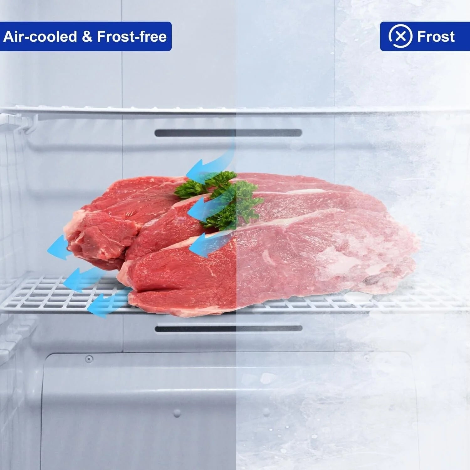 SMAD 13.8 Cu.ft Dual Mode Digital Control Convertible Uprigh Freezer/Refrigerator