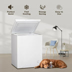 SMAD 5 Cu ft Chest Freezer Removable Baskets Free-Standing Top Open Door Deep Freezer, White